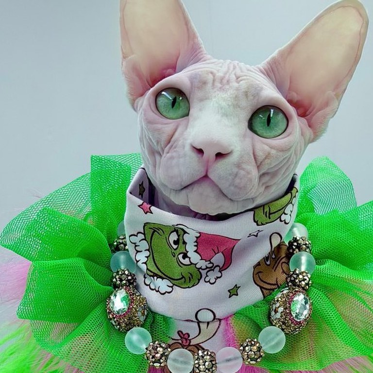 Bubbles, a Queen
