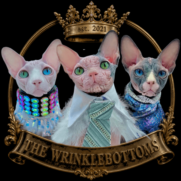 The Wrinklebottoms — Sphynx cattery